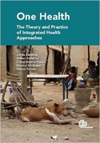 New book: The Theory and Practice of Integrated Health Approach